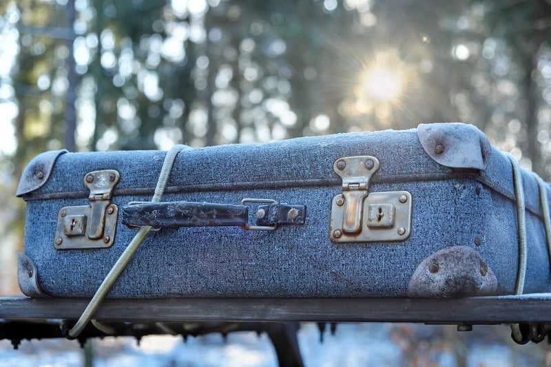 Suitcase Travel Image